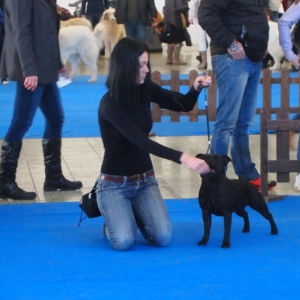 Rita CM: V2, Res.CAC