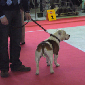 Výborný 2, Res.CAC