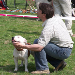 výborný 1, Víťaz triedy, Oblastný víťaz