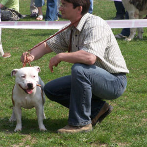 výborný 1, Víťaz triedy, Oblastný víťaz