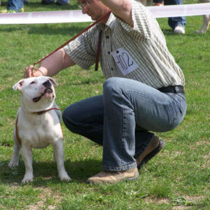 výborný 1, Víťaz triedy, Oblastný víťaz