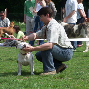 výborný 1, Víťaz triedy, Oblastný víťaz