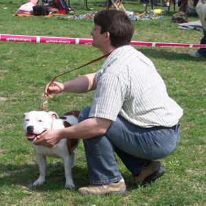 výborný 1, Víťaz triedy, Oblastný víťaz