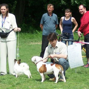 výborný 1, Víťaz triedy, Oblastný víťaz