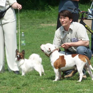 výborný 1, Víťaz triedy, Oblastný víťaz