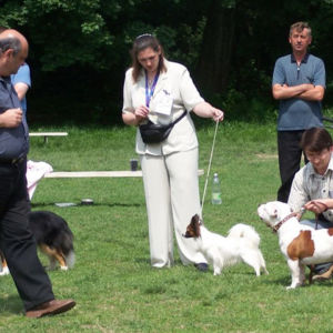 výborný 1, Víťaz triedy, Oblastný víťaz