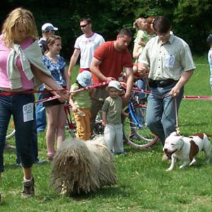výborný 1, Víťaz triedy, Oblastný víťaz