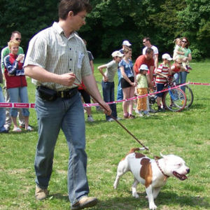 výborný 1, Víťaz triedy, Oblastný víťaz