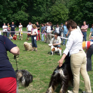 výborný 1, Víťaz triedy, Oblastný víťaz