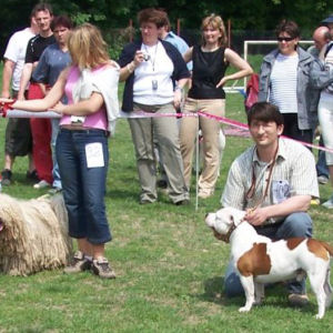 výborný 1, Víťaz triedy, Oblastný víťaz