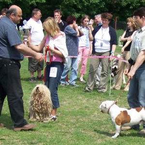 výborný 1, Víťaz triedy, Oblastný víťaz