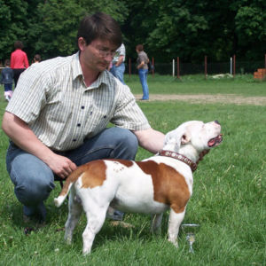 výborný 1, Víťaz triedy, Oblastný víťaz