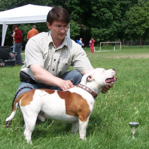 výborný 1, Víťaz triedy, Oblastný víťaz