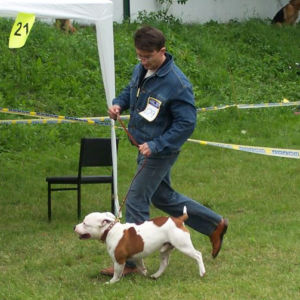 výborný 1, CAC, BOB