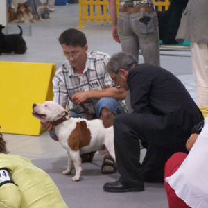 Výborný 2, Res.CAC