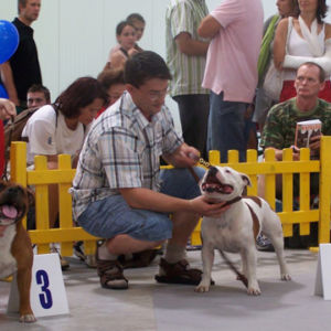 Výborný 2, Res.CAC