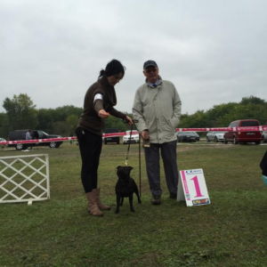 Rita CM: V1, CAC, CACIB, BOB