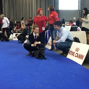 Donatello CM - trieda mladých - V4