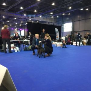 Donatello CM - trieda mladých - V4