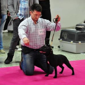 Cloe CM - 2x V1, CAJC