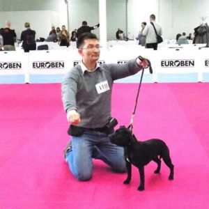 Cloe CM - 2x V1, CAJC