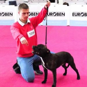 Albert II CM - VD3, VD1