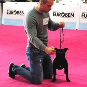 Elizabeth CM- VD, V3