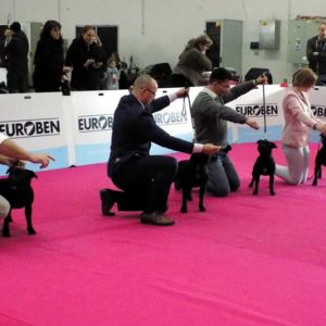 Finálový kruh o BOB