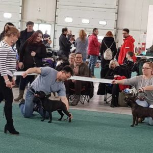 Cloe CM: V2, Res. CAC