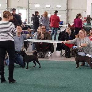 Cloe CM: V2, Res. CAC