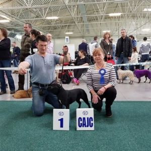 Exx CM- V1, CAJC, Víťaz Slovenska mladých