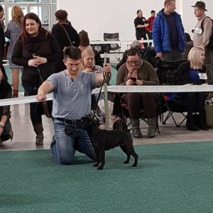 Cloe CM: V2, Res. CAC