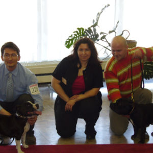 Výborná 1, CC, Danubius víťaz, BOB