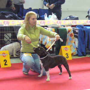 Aylin Babu Crazy magic