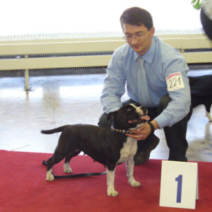 Výborná 1, CC, Danubius víťaz, BOB