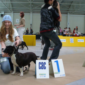 Výborná 1, CAC, CACIB