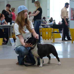 Výborná 1, CAC, CACIB