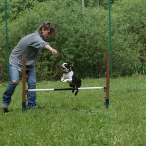 Aj Boston to zvláda