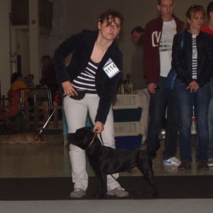 Nestor CM: V1, CAJC, BOB