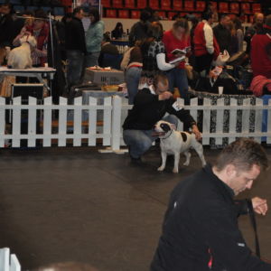 Bartok CM: Výborný 3