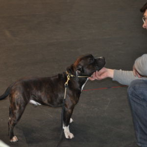 Výborný 2, Res.CAC