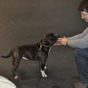 Výborný 2, Res.CAC