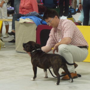 Výborný 2, Res.CAC