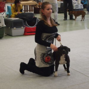 Bastien (trieda veteránov) - V1