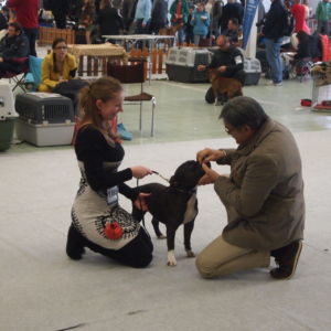 Bastien (trieda veteránov) - V1