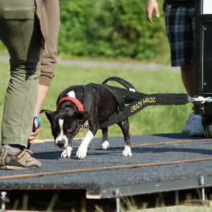 Kerri FB: Boj o medailu