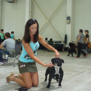 Bonjasky of Bully Botts