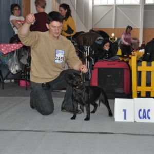 Výborná 1, CAC, CC