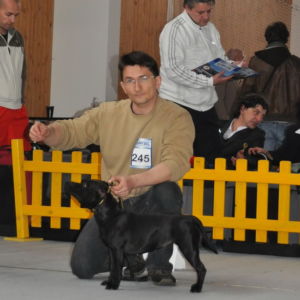 Výborná 1, CAC, CC