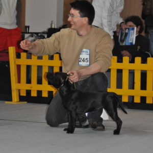 Výborná 1, CAC, CC